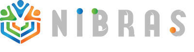 system logo